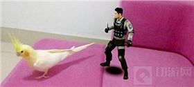 CF手游AR技術(shù)玩法怎么用 AR技術(shù)玩法詳細(xì)介紹